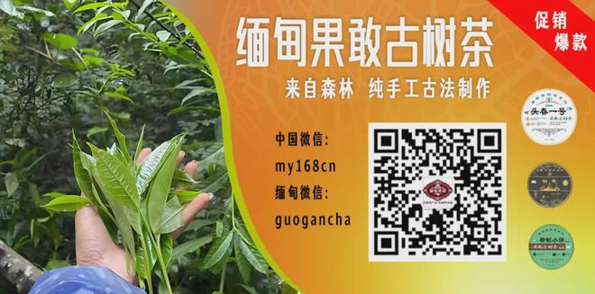 中国台北男篮15人集训名单:陈盈骏林庭谦领衔 7月6日战中国男篮