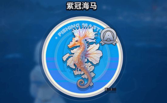 掘金多名自由球员存离队风险